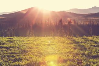 shutterstock_307763318_150dpi shutterstock_307763318_150dpi